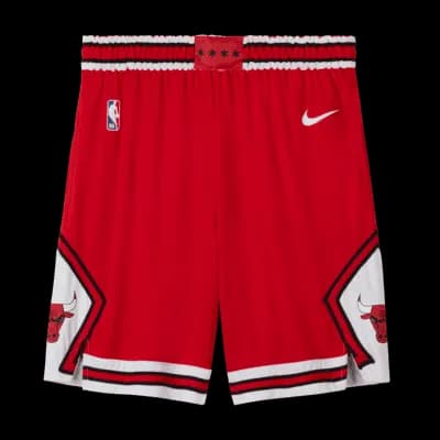 NIKE SHORTS X BULLS