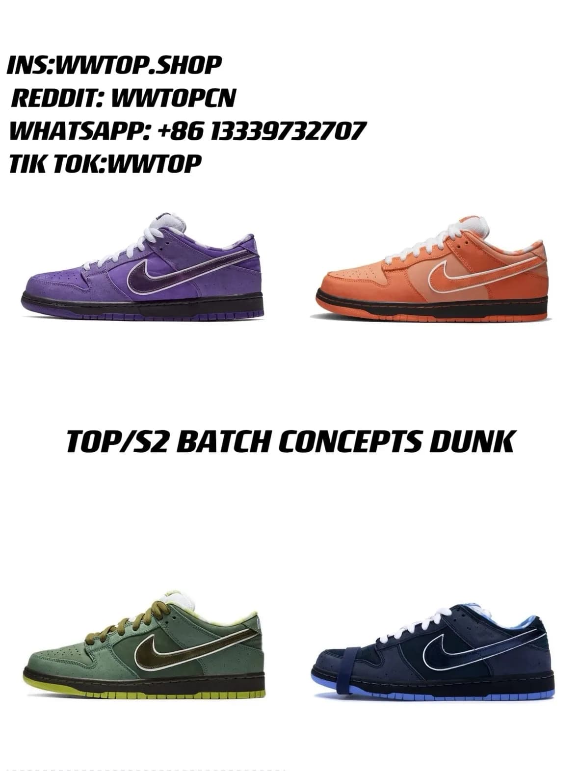 Dunk Low Concepts 8 colour ways
