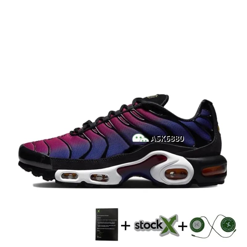 TN BARCELONA 1 1