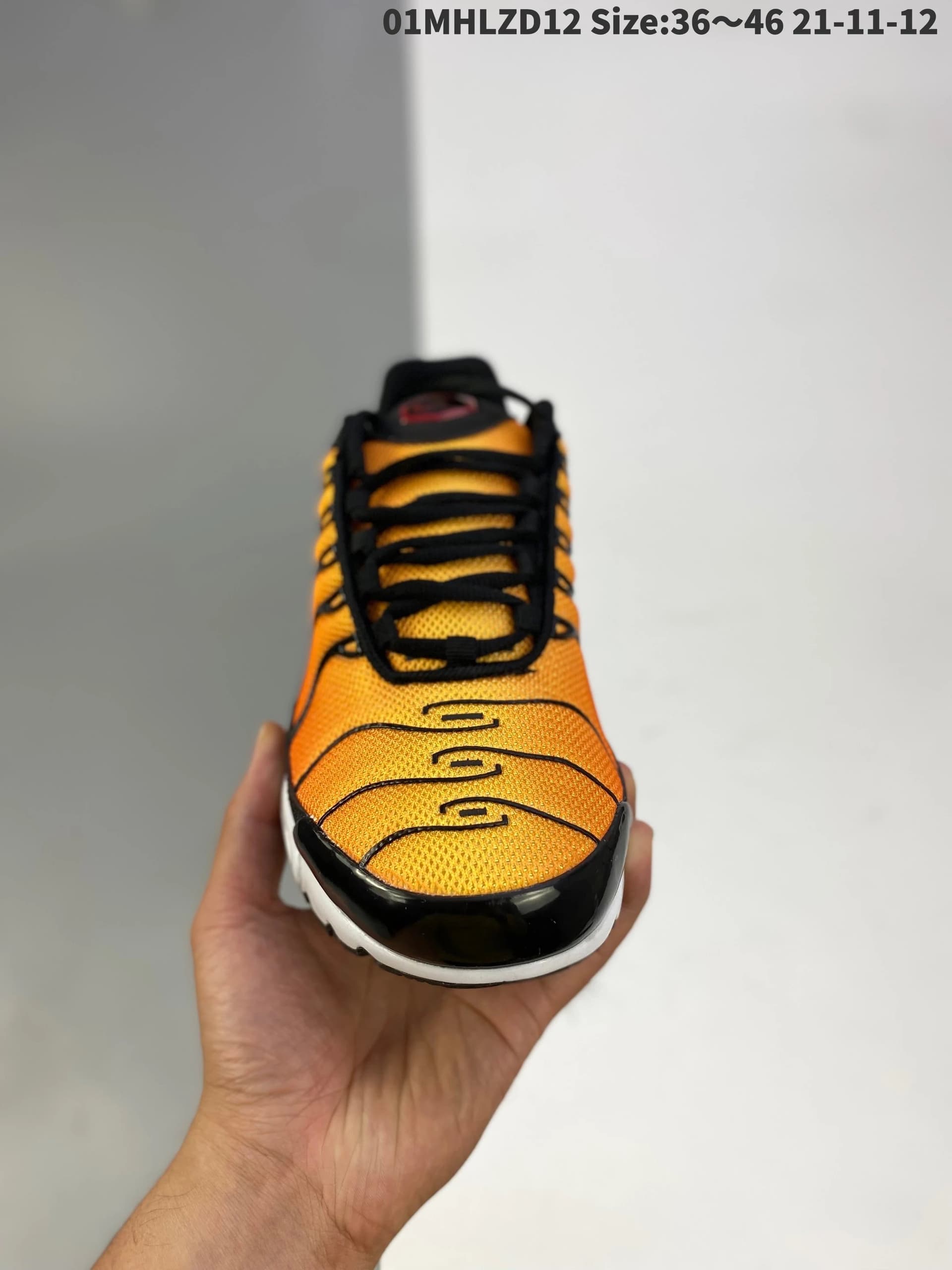 564——5599