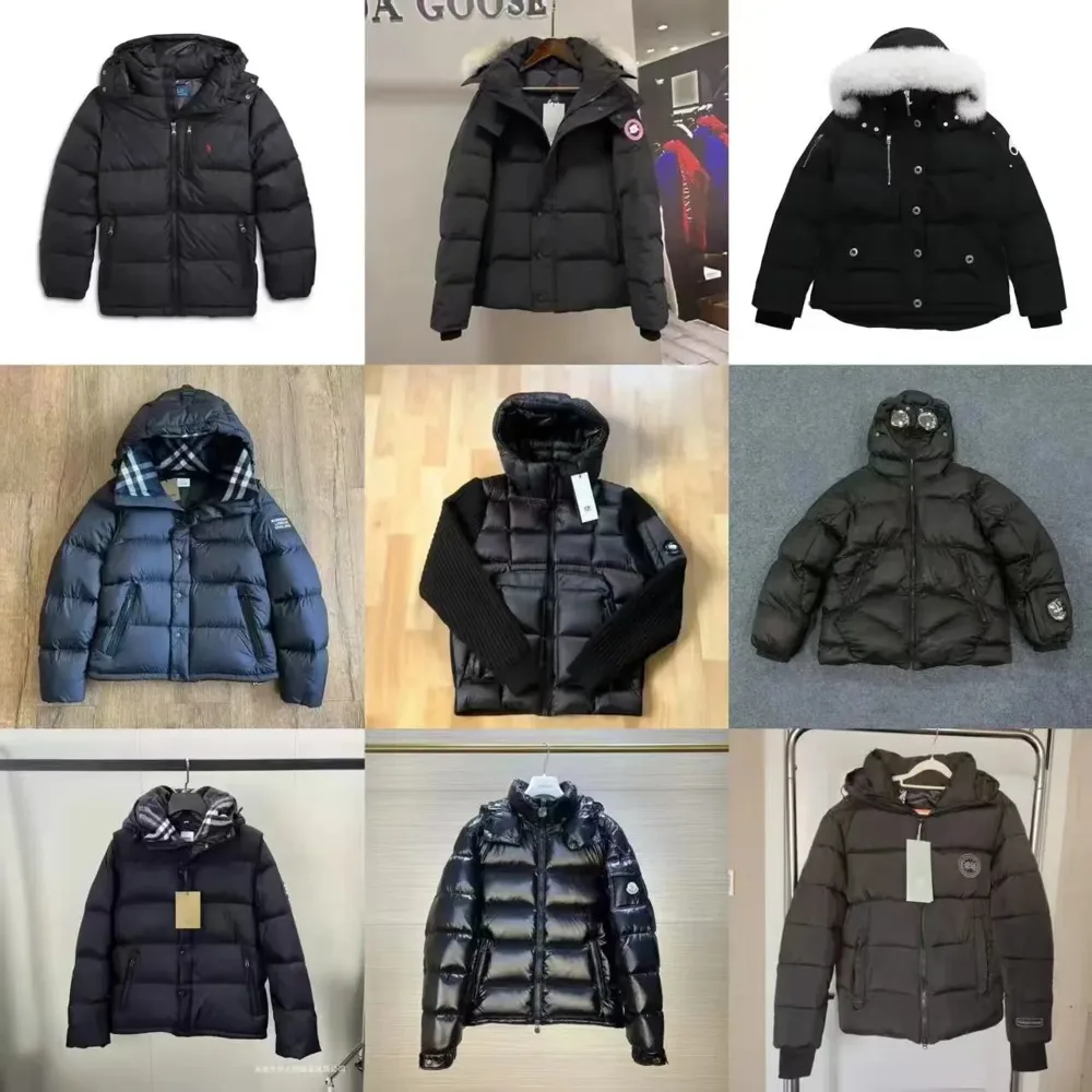 Canada Goose & Moose Knuckles-Style Down Jackets - Image 1